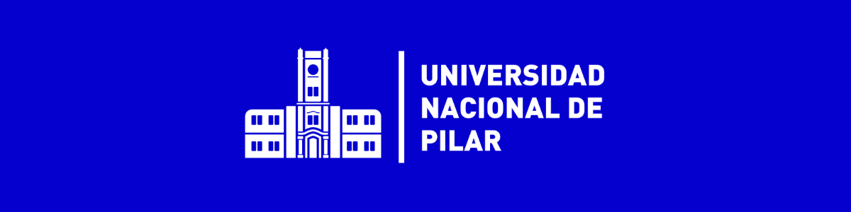 Universidad NAcional de Pilar